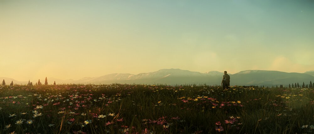 Star Citizen: Flowery Hill at Sunset