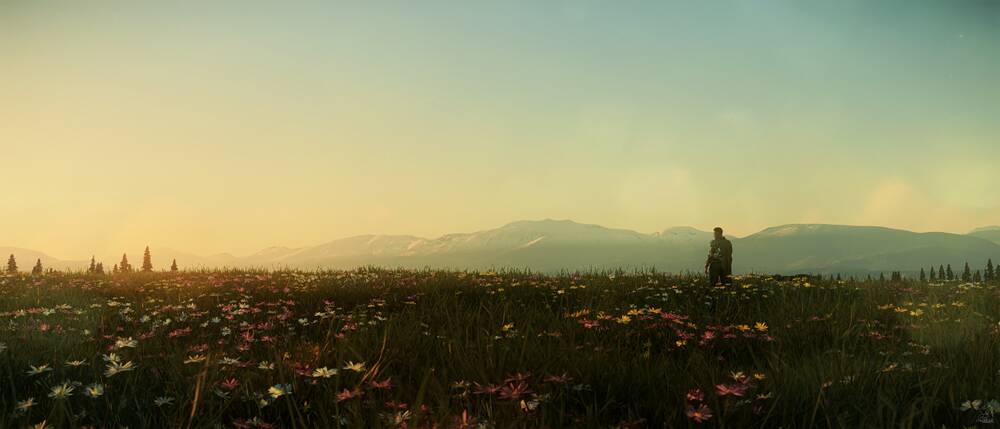 Star Citizen: Flowery Hill at Sunset