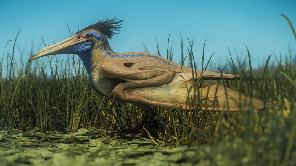 Star Citizen: Marok Landed