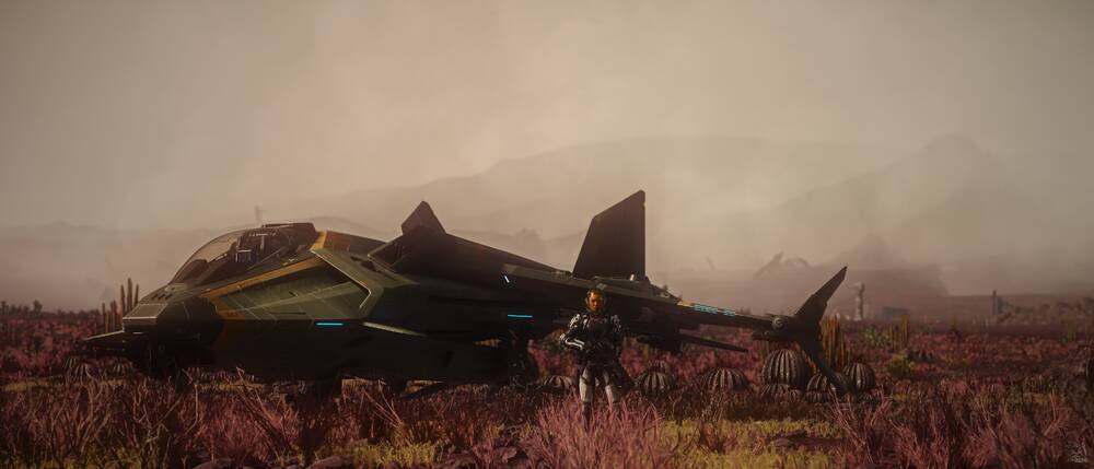 Star Citizen: Gladius on Hurston