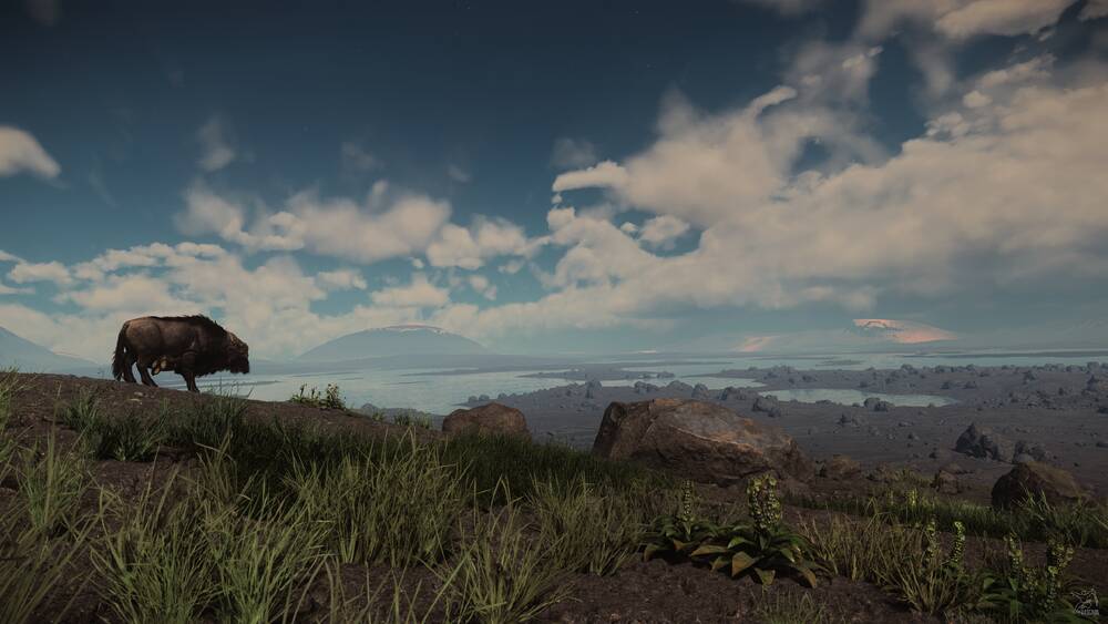 Star Citizen: Quasi Grazer Enjoying the View on Bloom